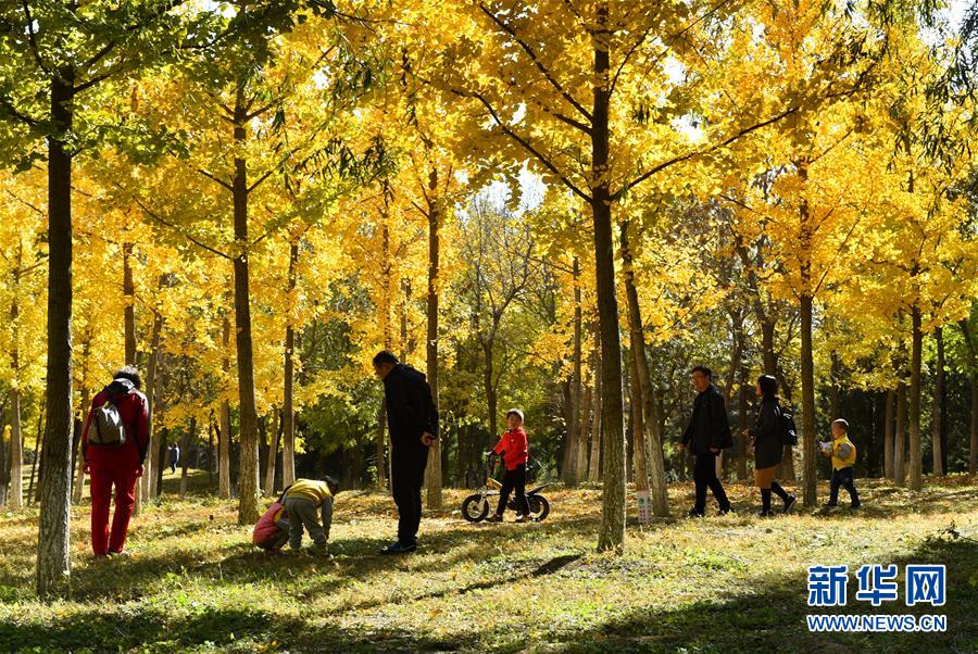 （百城百縣百企調(diào)研行&middot;圖文互動）（2）生態(tài) 文明 宜居&mdash;&mdash;北京城市副中心未來之城正在崛起