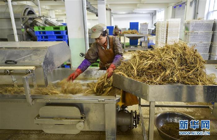 （百城百縣百企調研行&middot;圖文互動）（5）吉林集安：邊陲&ldquo;綠色明珠&rdquo;為何如此閃亮？