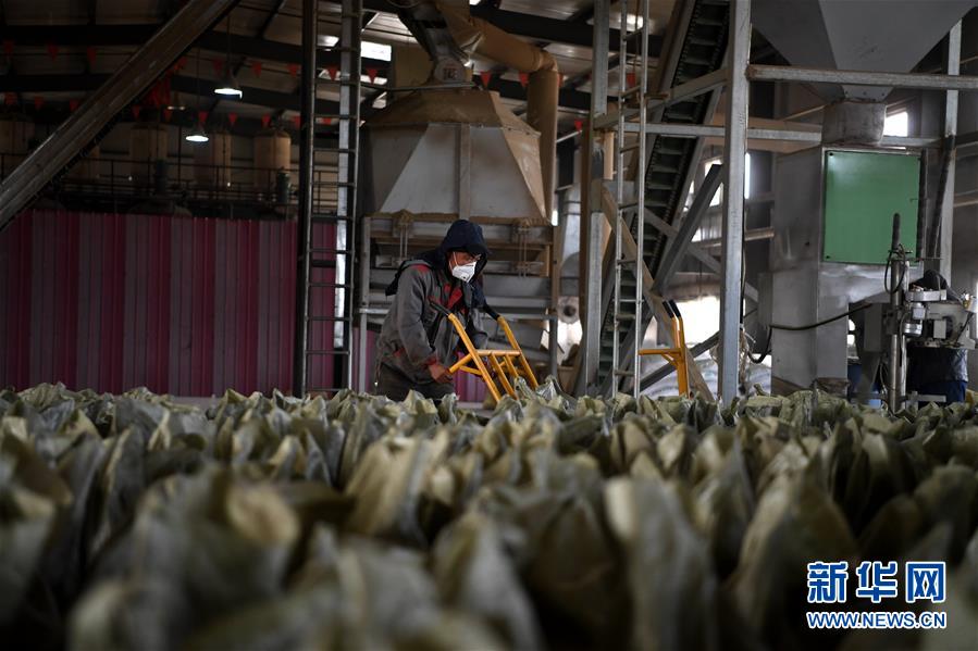 （在習近平新時代中國特色社會主義思想指引下&mdash;&mdash;新時代新氣象新作為&middot;鄉(xiāng)村振興戰(zhàn)略&middot;圖文互動）（1）&ldquo;與其放火，不如打包&rdquo;&mdash;&mdash;山西渾源秸稈綜合再利用見聞