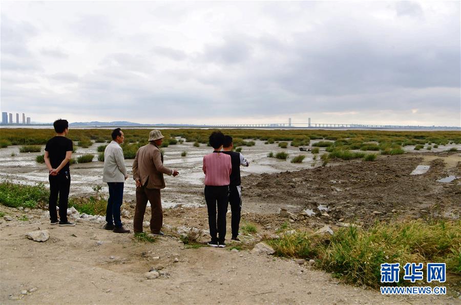 （新華視點&middot;圖文互動）（5）福建10名黨員干部被問責的背后：7部門十余次執法未能有效制止泉州灣濕地圍墾行為