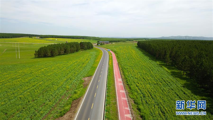 （新華全媒頭條&middot;圖文互動）（4）那一抹綠色，走進越來越多人心里&mdash;&mdash;河北塞罕壩續寫新時代綠色傳奇