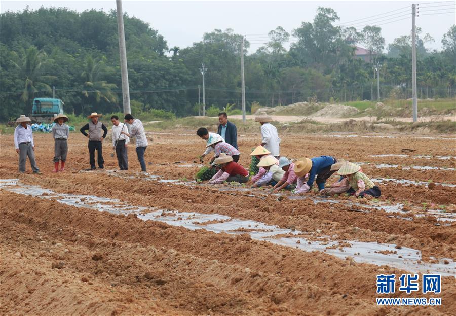 （新華視點&middot;回望2018&middot;圖文互動）（7）2018年新華社曝光多起破壞生態事件，記者年底追訪發現&hellip;&hellip;