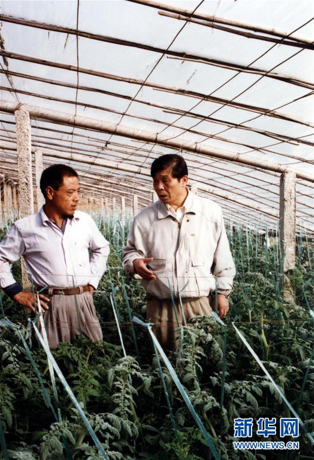 （改革先鋒風采&middot;圖文互動）（1）王伯祥：山東壽光蔬菜產(chǎn)業(yè)的推動者 