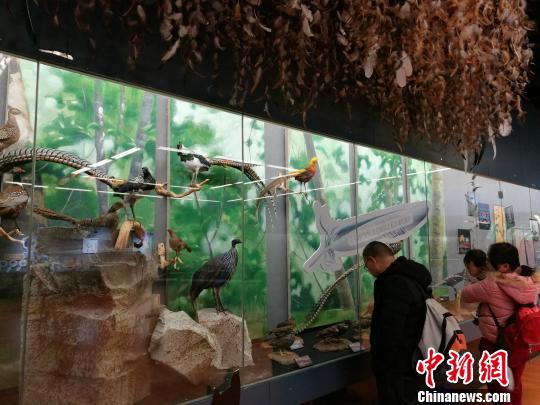 圖為展覽現(xiàn)場?！『h航 攝