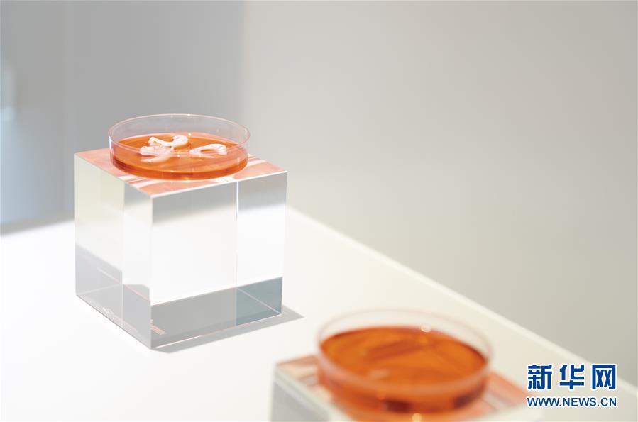 （兩會前夕看落實&middot;圖文互動）（4）&ldquo;三個第一&rdquo;催奮進 珠江潮起再出發&mdash;&mdash;廣東落實習近平總書記全國兩會重要講話精神紀實