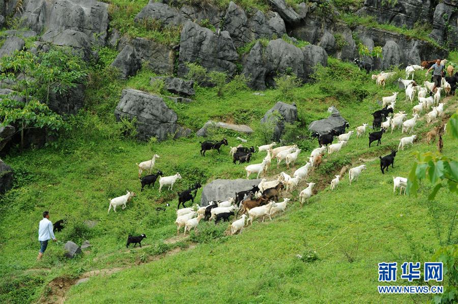 （兩會前夕看落實&middot;圖文互動）（2）決戰脫貧攻堅 奮力后發趕超&mdash;&mdash;貴州落實習近平總書記全國兩會重要講話精神紀實