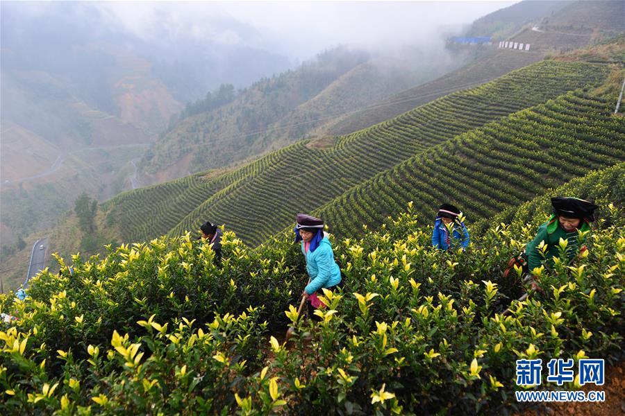 （兩會前夕看落實&middot;圖文互動）（8）決戰脫貧攻堅 奮力后發趕超&mdash;&mdash;貴州落實習近平總書記全國兩會重要講話精神紀實