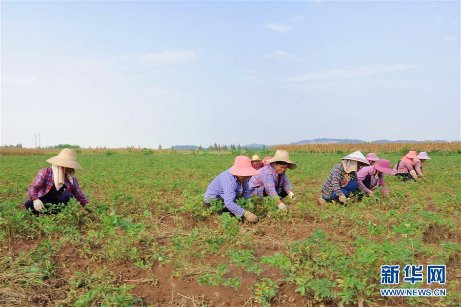 （新華全媒頭條&middot;圖文互動(dòng)）（9）滄海桑田一指間&mdash;&mdash;6個(gè)村莊的70年巨變 