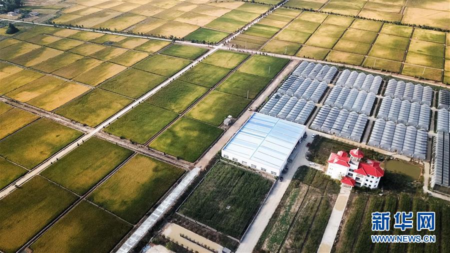 （新華全媒頭條&middot;愛國情 奮斗者&middot;圖文互動）（8）一個村的奮斗，一個時代的巨變&mdash;&mdash;記敢&ldquo;蹚新路&rdquo;的小崗人