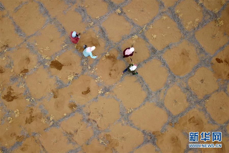 （新華全媒頭條&middot;圖文互動）（2）八步沙&middot;六老漢&middot;三代人