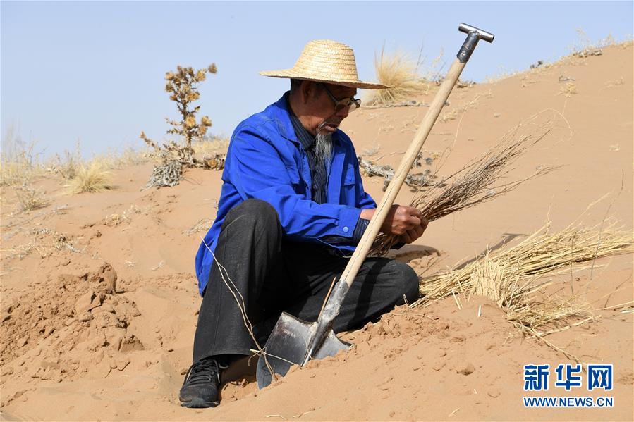 （新華全媒頭條&middot;圖文互動）（11）八步沙&middot;六老漢&middot;三代人