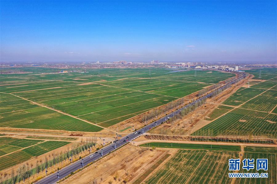 （新華全媒頭條&middot;圖文互動）（2）奮進，向著未來之城！&mdash;&mdash;河北雄安新區建設發展兩周年紀實