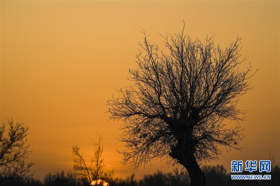 （新華全媒頭條&middot;圖文互動）（2）一步千年，&ldquo;最后的沙漠部落&rdquo;遷入新家園