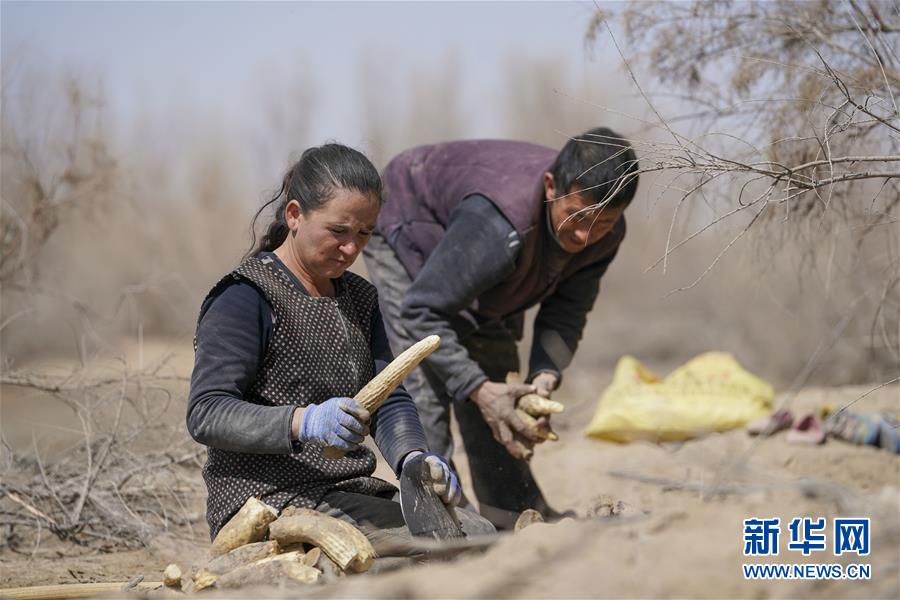 （新華全媒頭條&middot;圖文互動）（6）一步千年，&ldquo;最后的沙漠部落&rdquo;遷入新家園