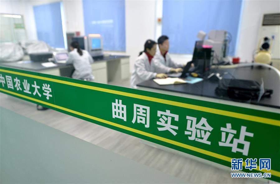 （愛國(guó)情 奮斗者&middot;圖文互動(dòng)）（3） &ldquo;解民生之多艱，育天下之英才&rdquo;&mdash;&mdash;中國(guó)農(nóng)大師生扎根田野書寫奉獻(xiàn)之歌