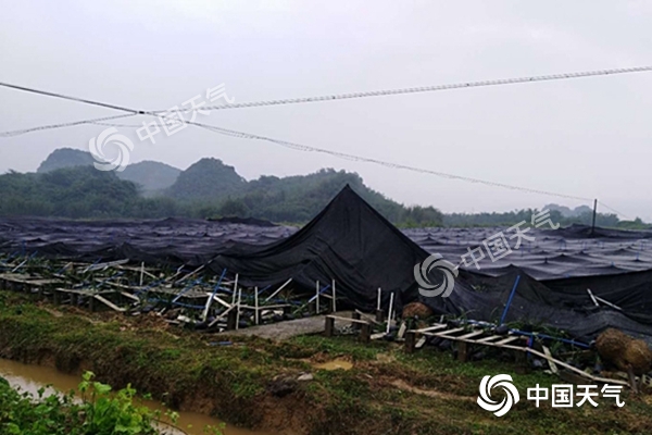 周末雨不休！南北方同迎大范圍降水
