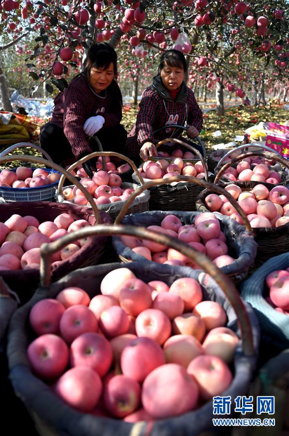 （新華全媒頭條&middot;圖文互動）（10）春暉沐浴寶塔山&mdash;&mdash;寫在延安各縣整體脫貧摘帽之際