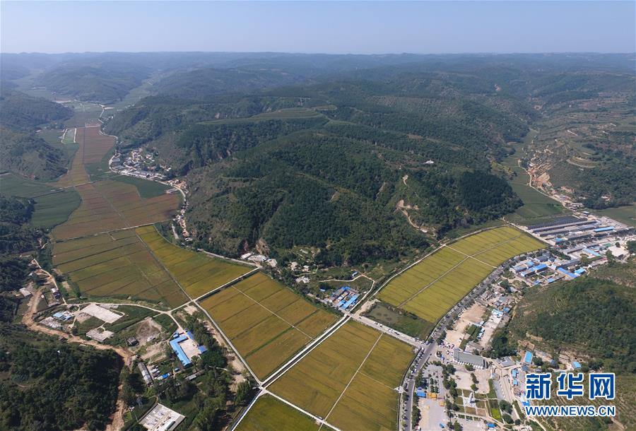 （圖文互動）（1）今日延安：&ldquo;對照過去我認不出了你&rdquo;&mdash;&mdash;紅色圣地的生態交響曲