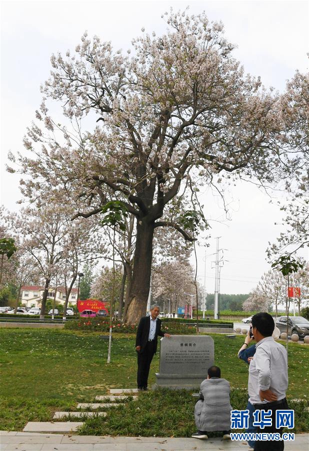 （壯麗70年&middot;奮斗新時代&middot;圖文互動）（6）以改革創新實現縣域新治&mdash;&mdash;河南蘭考縣域治理樣本觀察