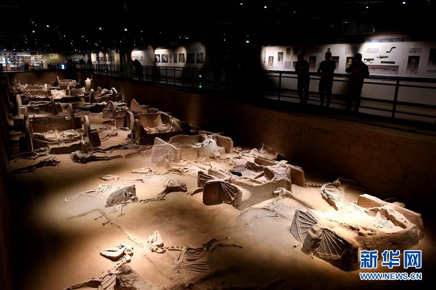 （新華全媒頭條&middot;圖文互動）（4）&ldquo;若問古今興廢事，請君只看洛陽城&rdquo;&mdash;&mdash;千年古都&ldquo;烹制&rdquo;博物館盛宴