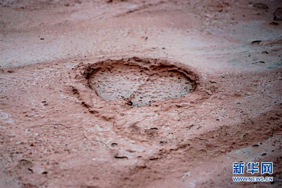 （新華全媒頭條&middot;圖文互動）（8）&ldquo;若問古今興廢事，請君只看洛陽城&rdquo;&mdash;&mdash;千年古都&ldquo;烹制&rdquo;博物館盛宴