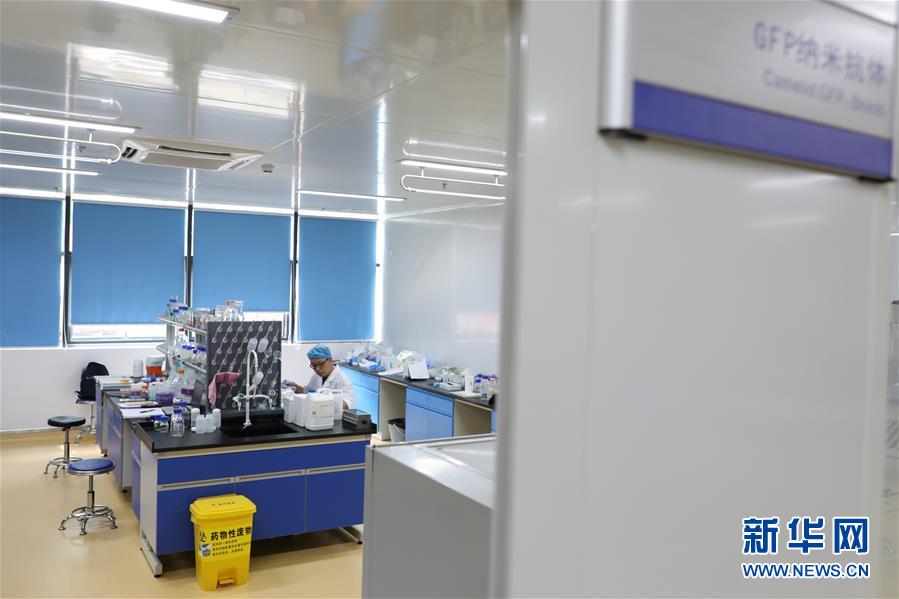 （在習近平新時代中國特色社會主義思想指引下&mdash;&mdash;新時代新作為新篇章&middot;圖文互動）（6）從種地到&ldquo;種&rdquo;高科技產業&mdash;&mdash;&ldquo;改革村&rdquo;的新思維