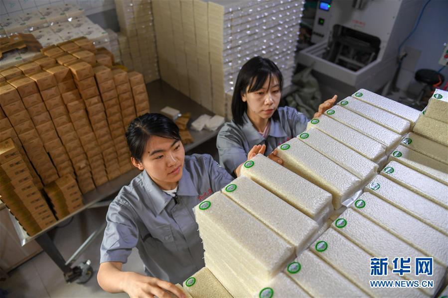 （在習近平新時代中國特色社會主義思想指引下&mdash;&mdash;新時代新作為新篇章&middot;圖文互動）（7）大學生種田讓農民&ldquo;老把式&rdquo;開了眼&mdash;&mdash;吉林長白山下的稻田新事