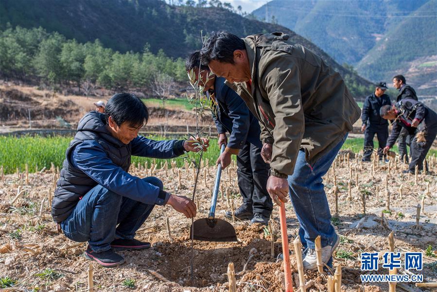 （新華全媒頭條&middot;圖文互動）（4）藏區(qū)&ldquo;感恩連&rdquo;