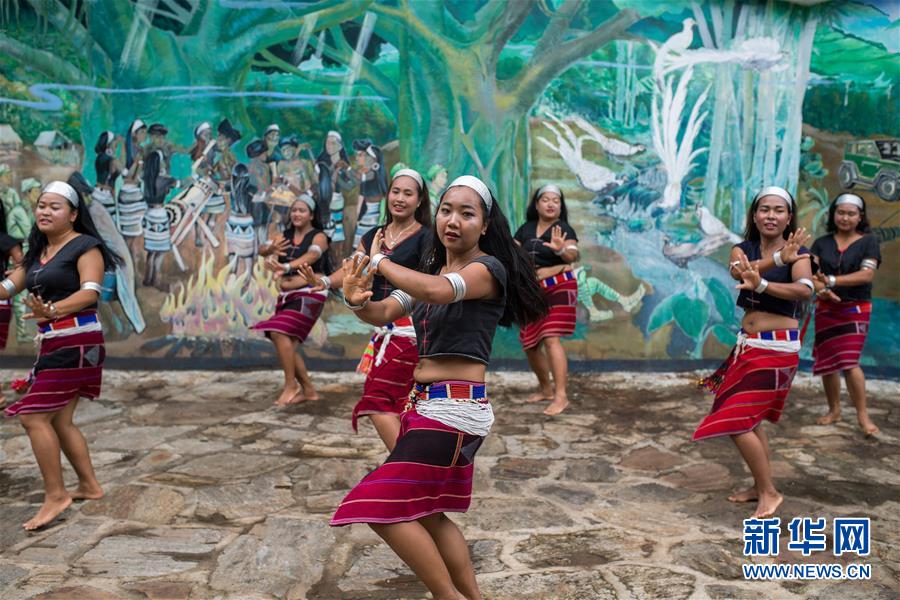 (直過民族脫貧攻堅(jiān)·圖文互動)(2)又見白鷴鳥