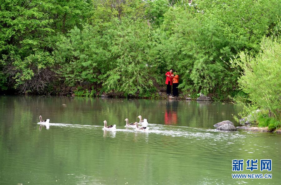 （在習(xí)近平新時(shí)代中國特色社會主義思想指引下&mdash;&mdash;新時(shí)代新作為新篇章&middot;圖文互動）（4）在這里，遇見&ldquo;詩和遠(yuǎn)方&rdquo;&mdash;&mdash;長白山下&ldquo;第一鎮(zhèn)&rdquo;的全域旅游實(shí)踐