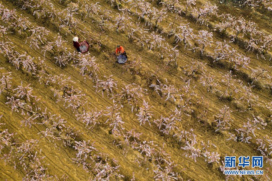 （在習(xí)近平新時(shí)代中國特色社會(huì)主義思想指引下&mdash;&mdash;新時(shí)代新作為新篇章&middot;圖文互動(dòng)）（3）中條山下綠意濃&mdash;&mdash;一個(gè)&ldquo;資源窮縣&rdquo;的生態(tài)發(fā)展之路