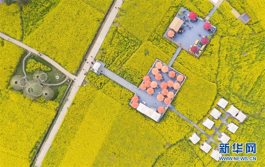 （壯麗70年&middot;奮斗新時代&mdash;&mdash;共和國發展成就巡禮&middot;圖文互動）（13）治蜀往事激越 興川今朝豪邁&mdash;&mdash;新中國成立70年四川發展巡禮