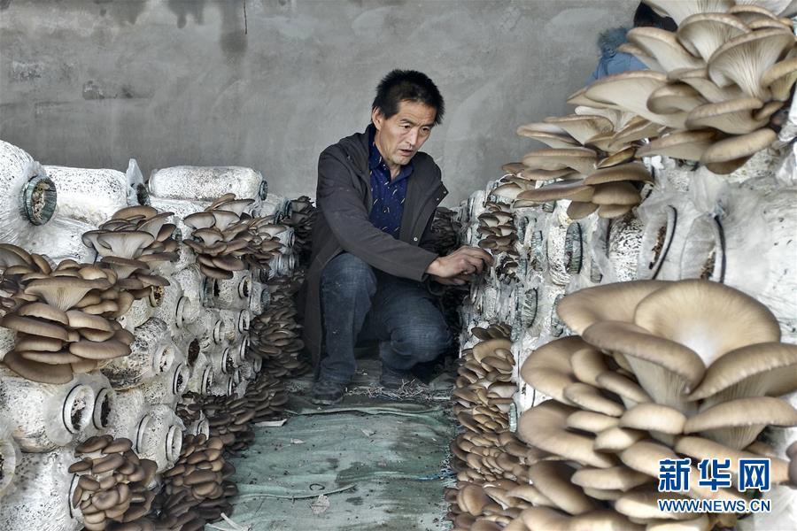 （脫貧攻堅(jiān)&middot;圖文互動(dòng)）（3）東達(dá)村脫貧記