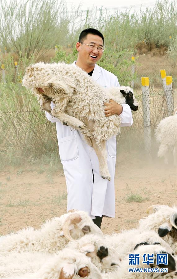 （壯麗70年&middot;奮斗新時代&mdash;&mdash;共和國發展成就巡禮&middot;圖文互動）（3）生態美、百姓富&mdash;&mdash;品讀嶄新&ldquo;寧夏畫卷&rdquo;