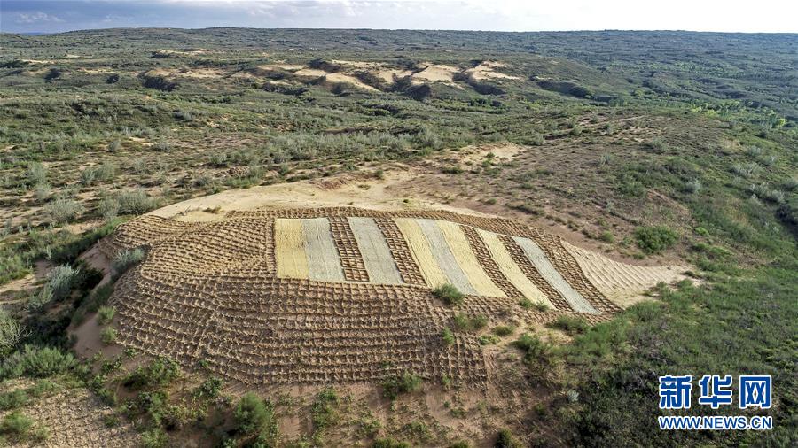 （壯麗70年&middot;奮斗新時代&mdash;&mdash;共和國發展成就巡禮&middot;圖文互動）（6）生態美、百姓富&mdash;&mdash;品讀嶄新&ldquo;寧夏畫卷&rdquo;