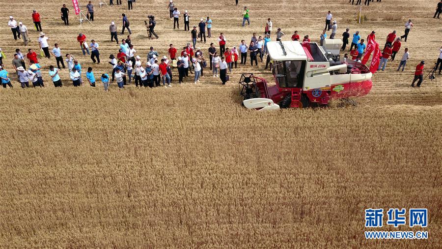 (壯麗70年·奮斗新時代——共和國發展成就巡禮)(3)看今朝齊風魯韻 七十載芳華正勁——新中國成立以來山東領先發展紀實