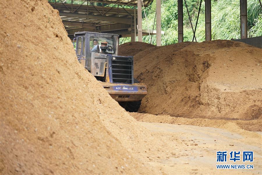 （在習近平新時代中國特色社會主義思想指引下&mdash;&mdash;新時代新作為新篇章&middot;總書記關心的百姓身邊事&middot;圖文互動）（4）大污染變身&ldquo;大寶藏&rdquo;：治理畜禽糞污，他們這樣干！