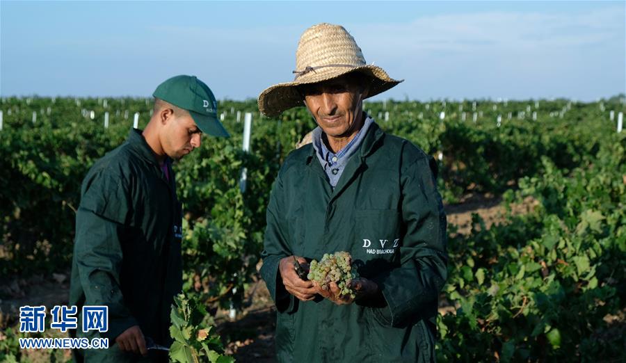 (新華全媒頭條·圖文互動)(9)攜手鑄就非凡夢想——寫在習近平主席提出構建更加緊密的中非命運共同體一周年之際