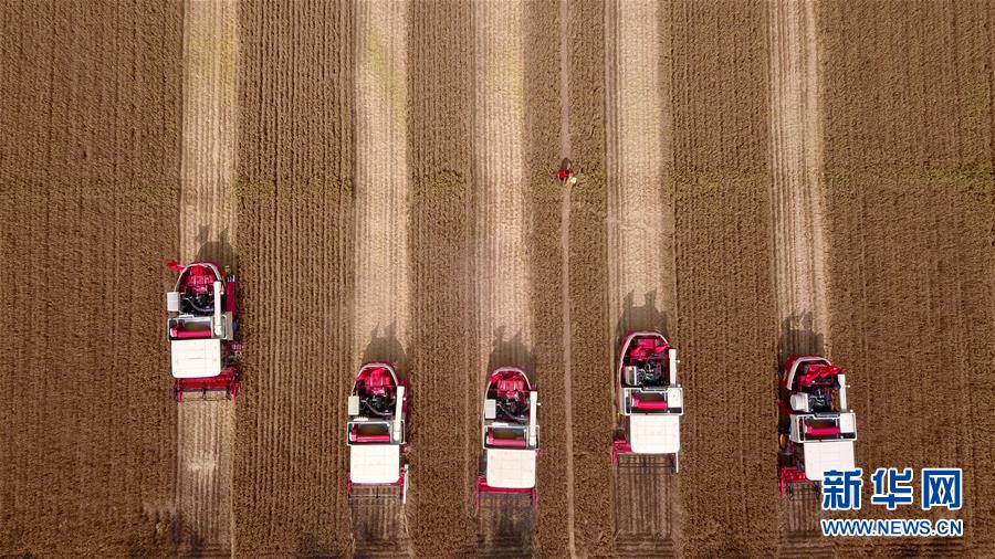 （&ldquo;中國之度&rdquo;系列述評&middot;圖文互動）（8）中國速度&mdash;&mdash;新中國成立70周年成就述評之三