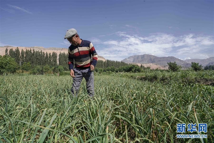 （決戰(zhàn)決勝脫貧攻堅&middot;圖文互動）（6）記者手記：尋訪昆侖&ldquo;桃花源&rdquo;的&ldquo;祛病&rdquo;良方