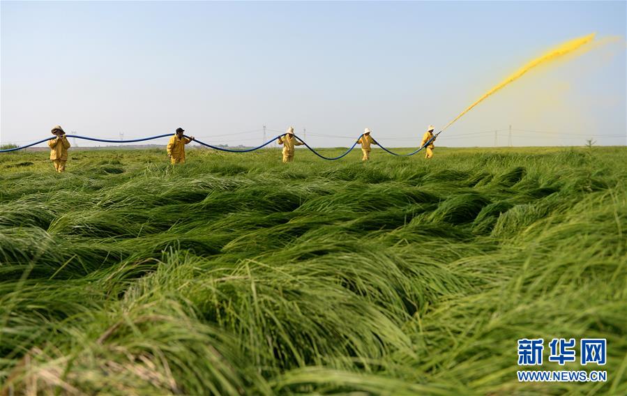 (紅土地“往事新說(shuō)”·圖文互動(dòng))(11)昔日送“瘟神” 今朝健康促小康