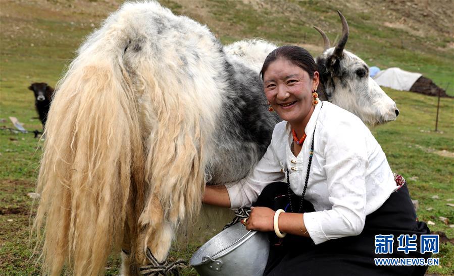 （決戰(zhàn)決勝脫貧攻堅&middot;圖文互動）（9）以保護(hù)促脫貧　以脫貧助保護(hù)&mdash;&mdash;長江源頭第一縣的生態(tài)發(fā)展選擇