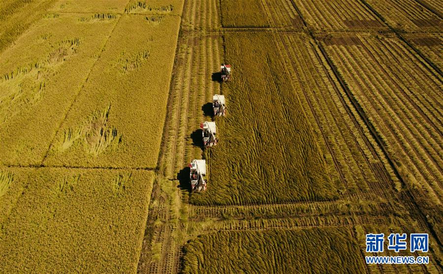 （新華全媒頭條&middot;圖文互動）（5）紅色的傳承，藍圖的起點&mdash;&mdash;新中國孕育與發展的&ldquo;東北記憶&rdquo;