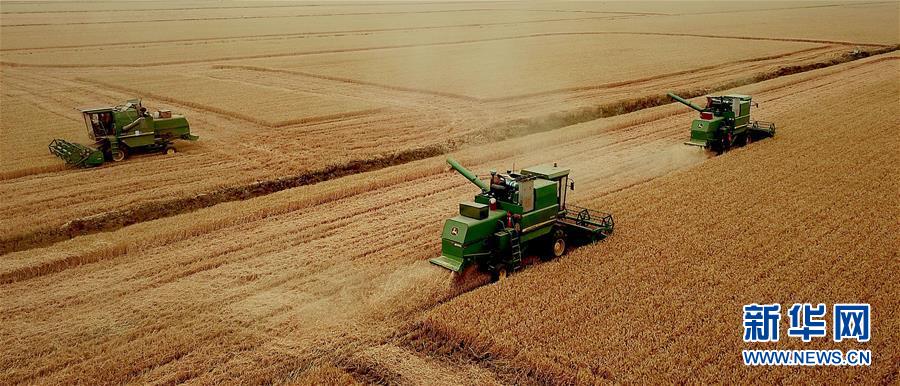 （新華全媒頭條&middot;圖文互動）（1）大國糧倉的新時(shí)代交響&mdash;&mdash;河南農(nóng)業(yè)70年觀察