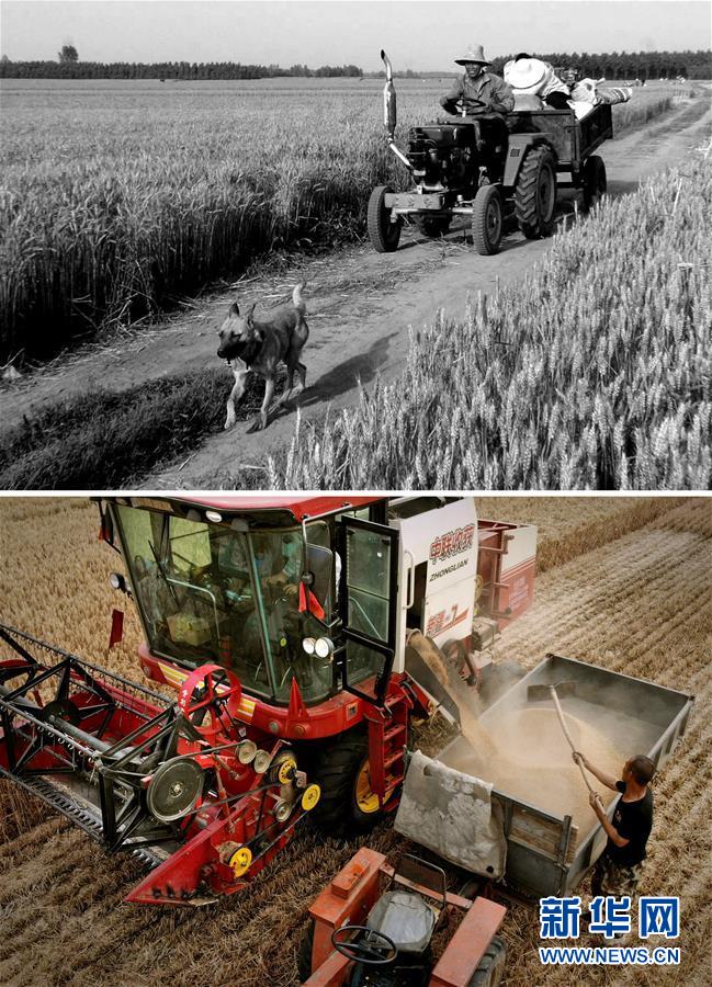 （新華全媒頭條&middot;圖文互動）（8）大國糧倉的新時(shí)代交響&mdash;&mdash;河南農(nóng)業(yè)70年觀察