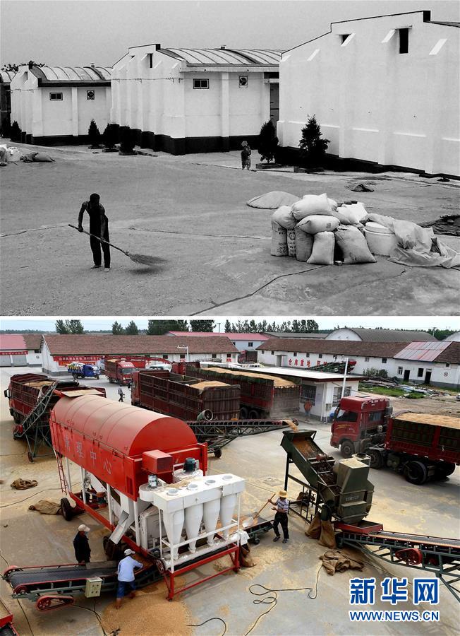 （新華全媒頭條&middot;圖文互動）（9）大國糧倉的新時(shí)代交響&mdash;&mdash;河南農(nóng)業(yè)70年觀察