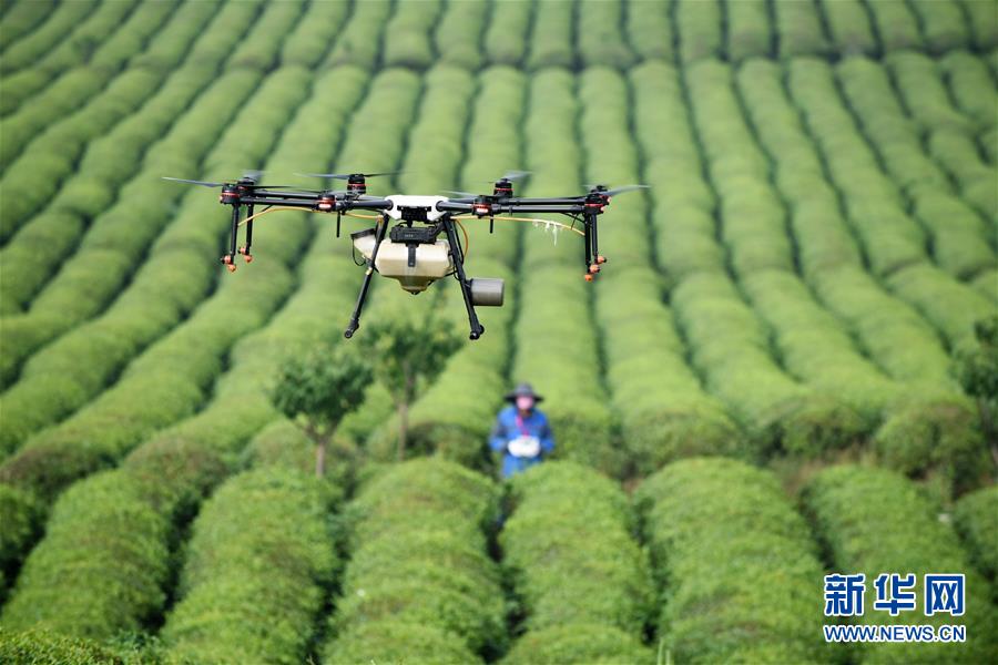 （全面深化改革&middot;圖文互動）（6）&ldquo;減&rdquo;出效益 &ldquo;融&rdquo;出特色 &ldquo;服&rdquo;出動力&mdash;&mdash;貴州推進農村產業結構調整觀察