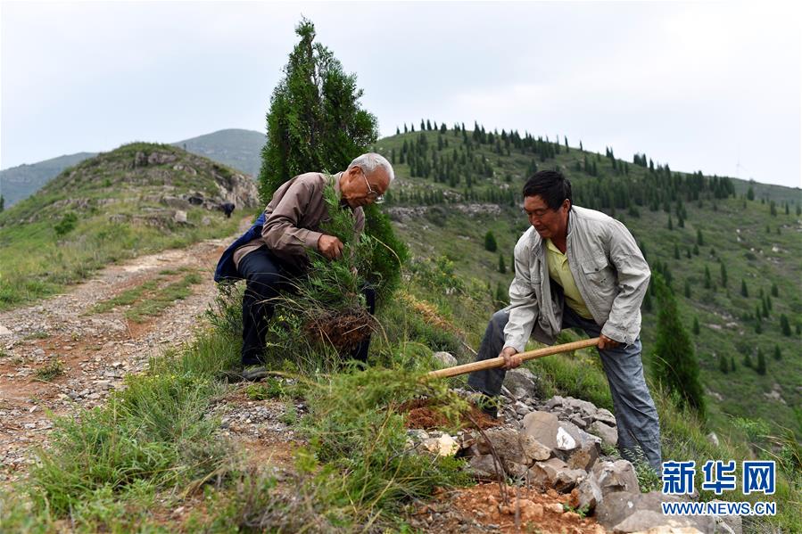 (圖文互動)(2)“退休20年,咱就干了這么一件事”——記山西水利廳退休干部高文毓的“綠山夢”
