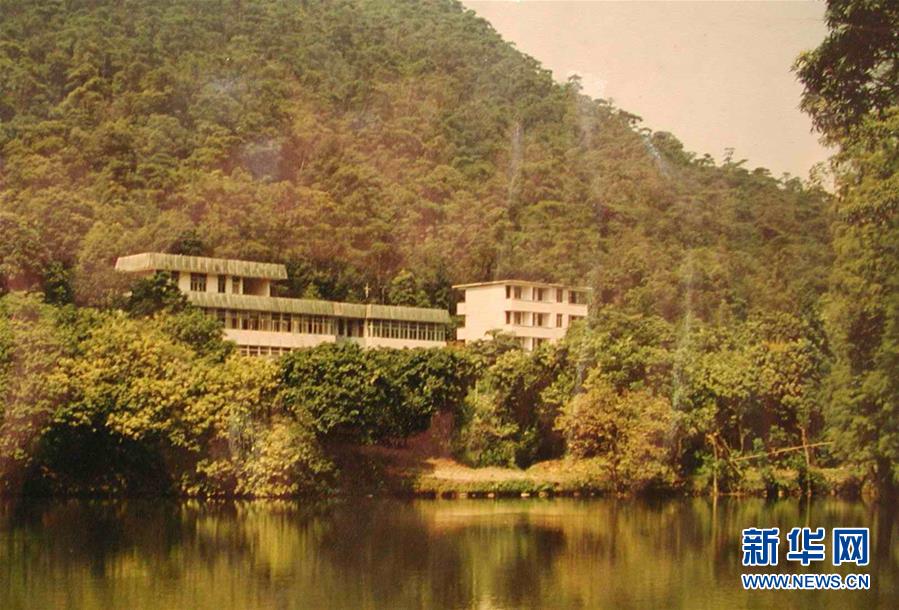 （圖文互動）（4）科學接續(xù)保護 守住生態(tài)紅線&mdash;&mdash;探訪&ldquo;北回歸沙漠帶上的綠色明珠&rdquo;