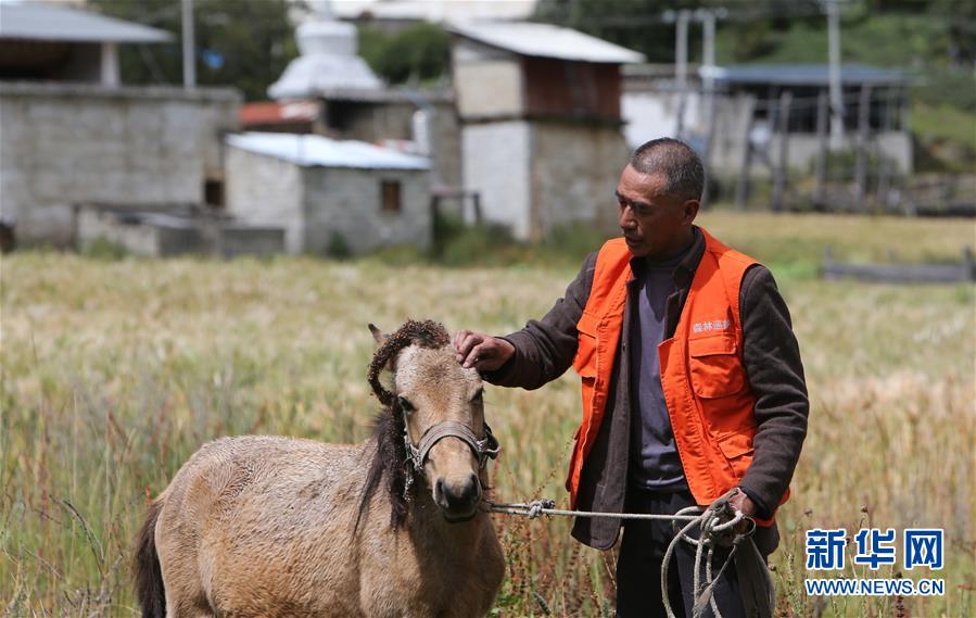 （新華全媒頭條&middot;決戰(zhàn)決勝脫貧攻堅(jiān)&middot;圖文互動(dòng)）（4）為了人與自然和諧共生&mdash;&mdash;云南&ldquo;三江并流&rdquo;地區(qū)決戰(zhàn)精準(zhǔn)脫貧的&ldquo;生態(tài)畫卷&rdquo;